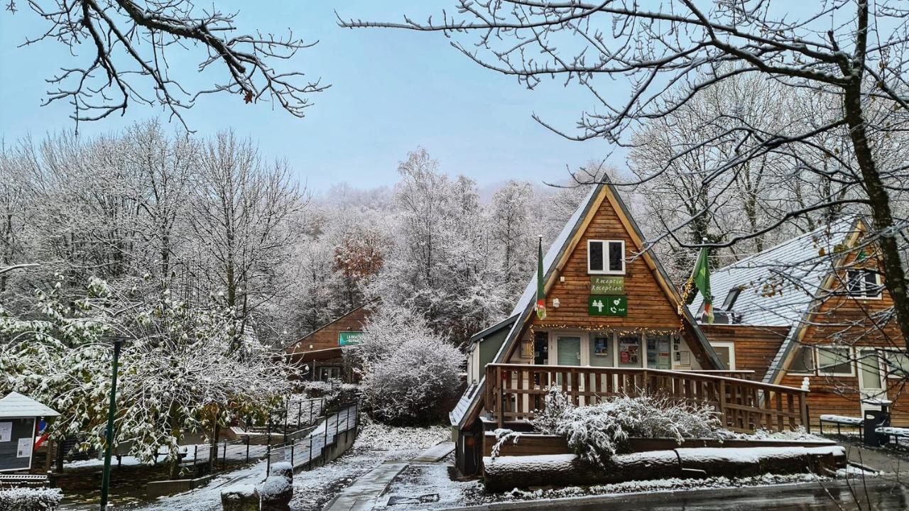 Вилла Het Boshuisje In Дюрбюи Экстерьер фото